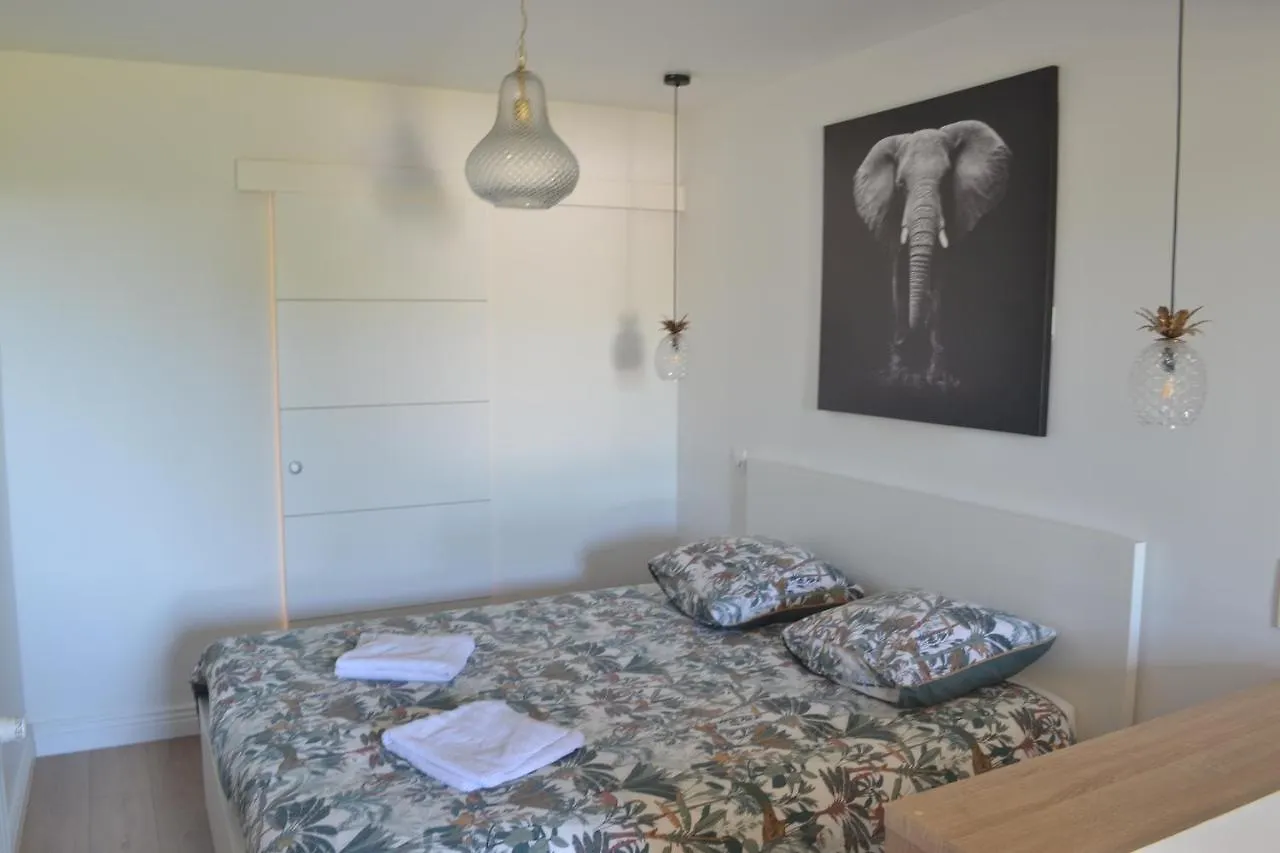 Apartment Le Bompard 50 M2 Villa Art Deco Plein Centre Avec Jardin Rodez